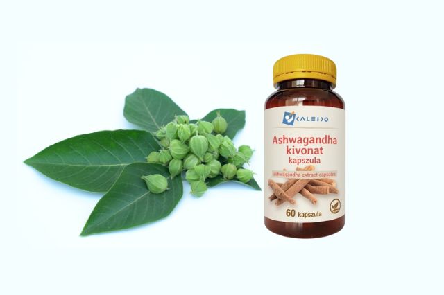 Ashwagandha-velemenyek