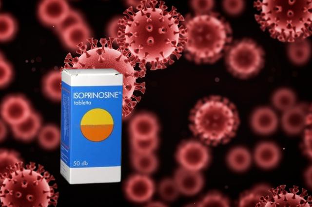 Isoprinosine-velemenyek