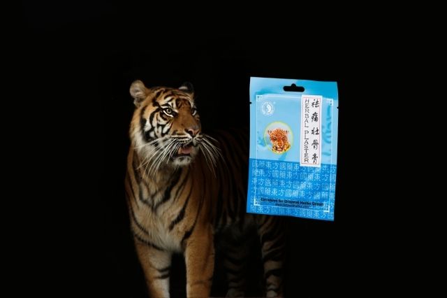 tigris-tapasz-velemeny